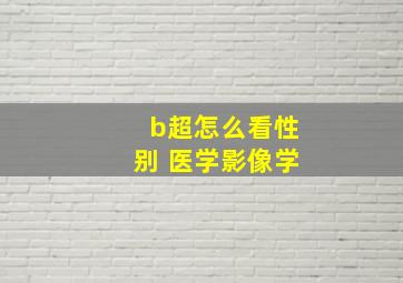 b超怎么看性别 医学影像学